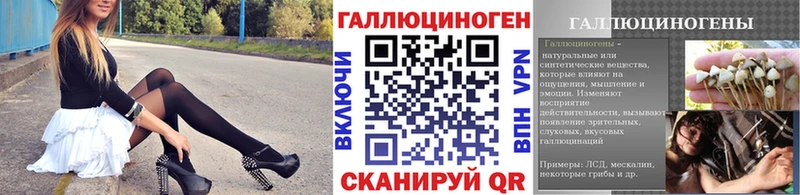 Псилоцибиновые грибы Psilocybine cubensis  Себеж 